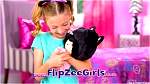 flipzeegirls06.jpg